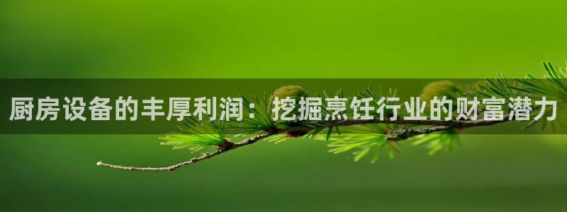尊龙娱官网赢来就送38：厨房设备的丰厚利润：挖掘烹饪行业的财