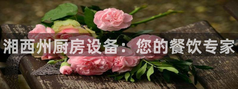 d88尊龙平台开户：湘西州厨房设备：您的餐饮专家