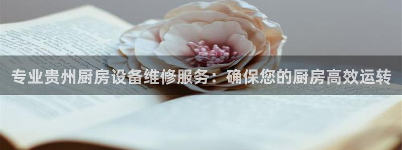 尊龙人生就是博管网：专业贵州厨房设备维修服务：确保您的厨房高