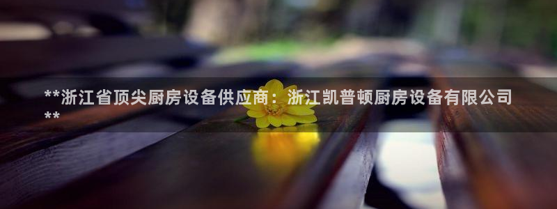尊龙凯时老板是谁：**浙江省顶尖厨房设备供应商：浙江凯普顿厨