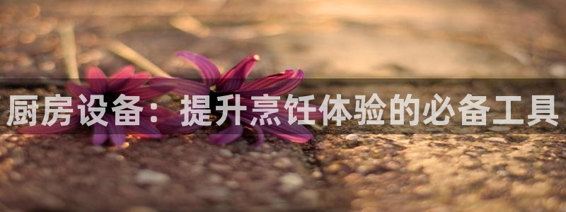 尊龙凯时 - 人生就是搏!提款怎么样：厨房设备：提升烹饪体验