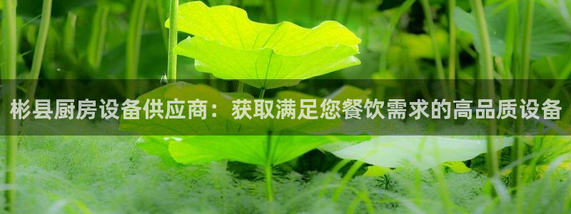 尊龙凯时注册：彬县厨房设备供应商：获取满足您餐饮需求的高品质