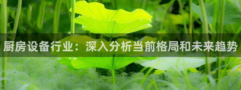 尊龙官网手机版：厨房设备行业：深入分析当前格局和未来趋势