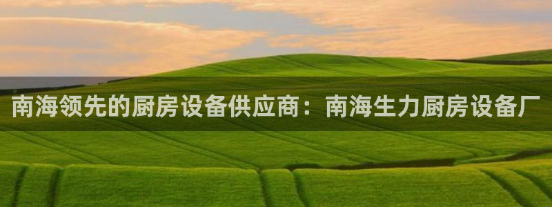 尊龙游戏官网：南海领先的厨房设备供应商：南海生力厨房设备厂