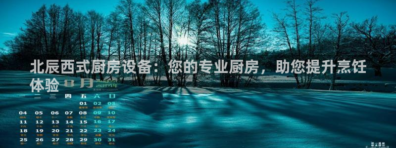 凯时登录：北辰西式厨房设备：您的专业厨房，助您提升烹饪
体验