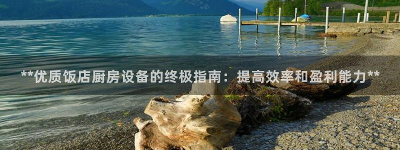 尊龙凯时人生就是搏·(中国)官网：**优质饭店厨房设备的终极