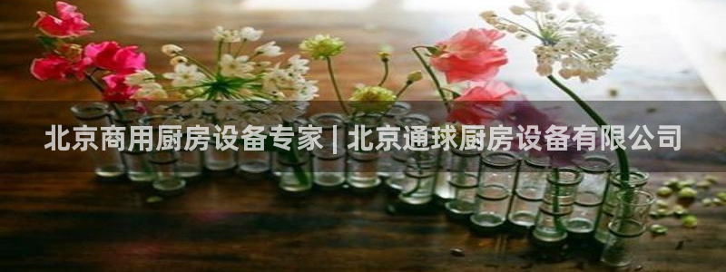 尊龙现金娱乐 下载：北京商用厨房设备专家 | 北京通球厨房设