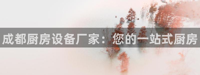 尊龙 5：成都厨房设备厂家：您的一站式厨房