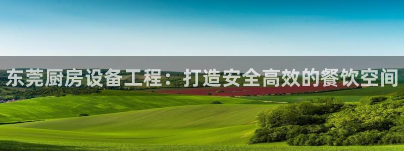 尊龙凯时d3563：东莞厨房设备工程：打造安全高效的餐饮空间