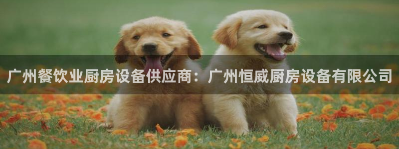 尊龙凯时出款：广州餐饮业厨房设备供应商：广州恒威厨房设备有限