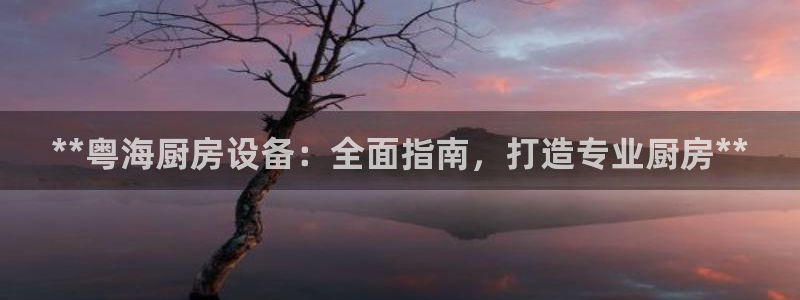 尊龙官网手：**粤海厨房设备：全面指南，打造专业厨房**