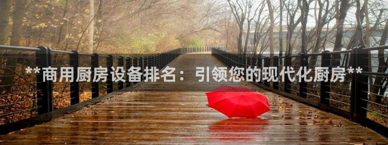 尊龙人生就是博登录网址下载：**商用厨房设备排名：引领您的现