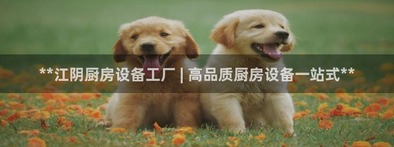 尊龙凯时为什么输了钱：**江阴厨房设备工厂 | 高品质厨房设