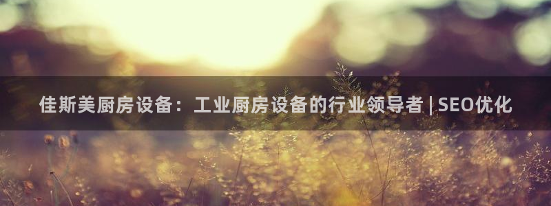 尊龙凯时干什么的：佳斯美厨房设备：工业厨房设备的行业领导者 