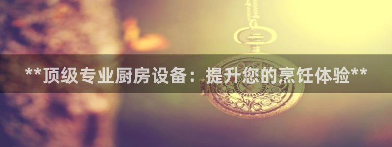 尊龙凯时泰安：**顶级专业厨房设备：提升您的烹饪体验**