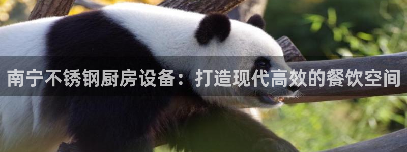 Z6尊龙老版：南宁不锈钢厨房设备：打造现代高效的餐饮空间