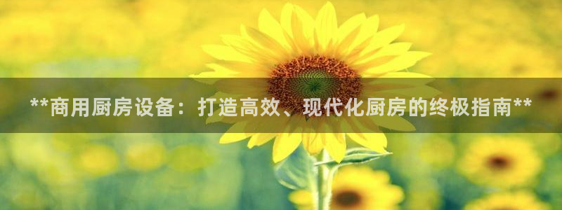 尊龙ag：**商用厨房设备：打造高效、现代化厨房的终极指南*