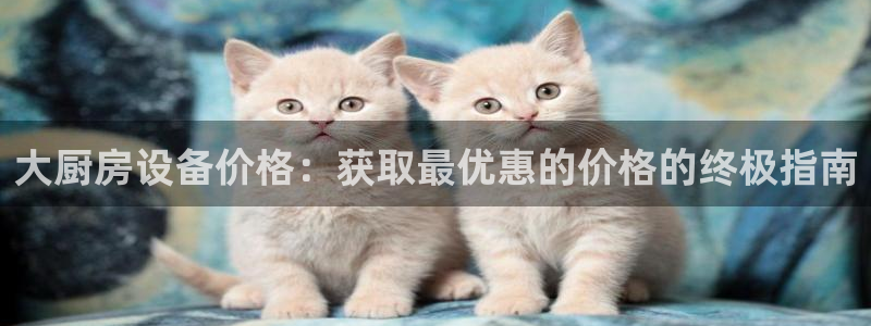 尊龙凯时人生就是搏!官网：大厨房设备价格：获取最优惠的价格的