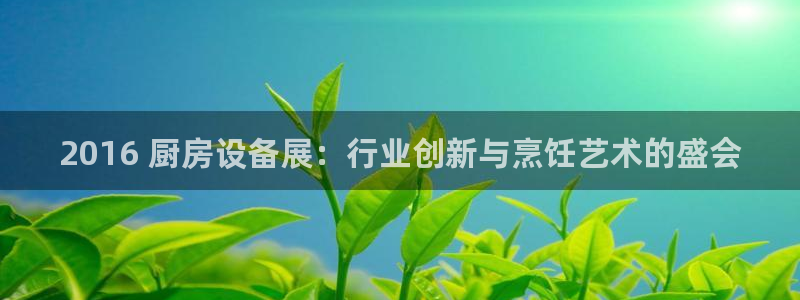 尊龙游戏官方网：2016 厨房设备展：行业创新与烹饪艺术的盛