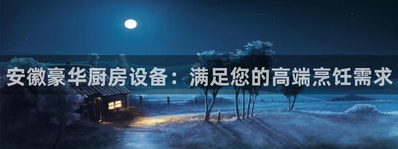尊龙网站登录：安徽豪华厨房设备：满足您的高端烹饪需求
