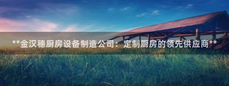 尊龙凯时app产品介绍：**金汉穗厨房设备制造公司：定制厨房