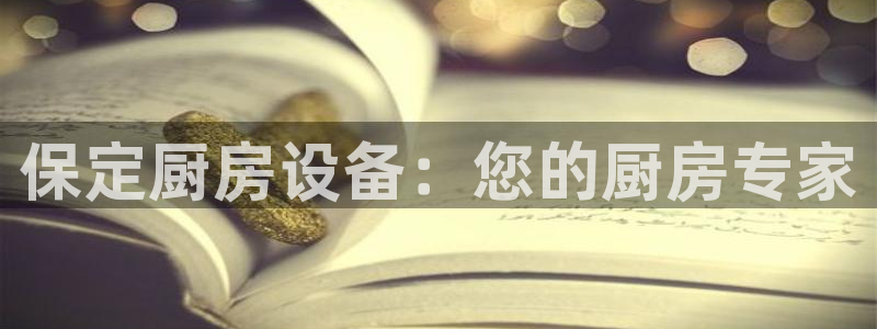 尊龙凯时论坛：保定厨房设备：您的厨房专家
