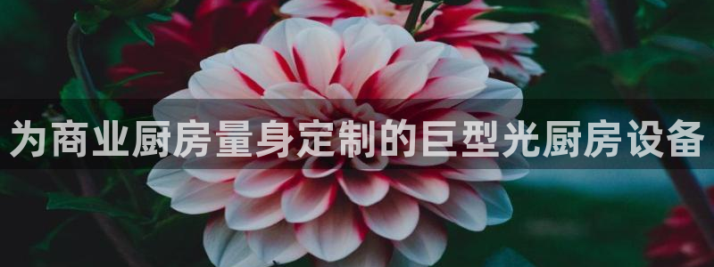 凯时登录界面：为商业厨房量身定制的巨型光厨房设备