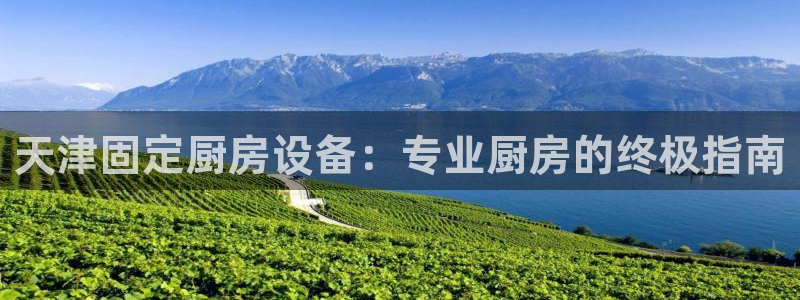 尊龙凯时能提现吗：天津固定厨房设备：专业厨房的终极指南