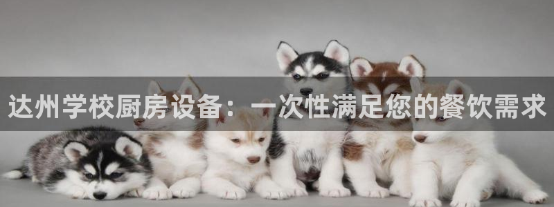 尊龙2021年最新消息：达州学校厨房设备：一次性满足您的餐饮