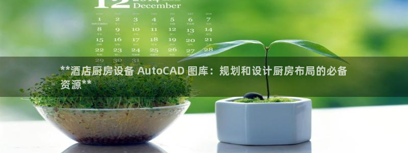 凯时平台怎么样：**酒店厨房设备 AutoCAD 图库：规划