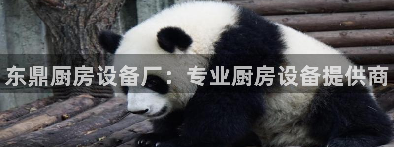 尊龙人生就是博旧：东鼎厨房设备厂：专业厨房设备提供商