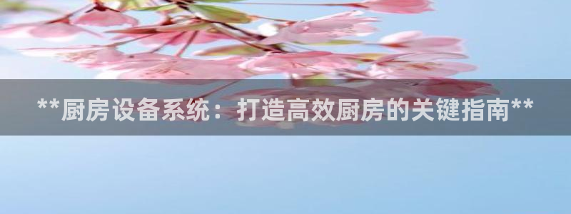 z6尊龙官网：**厨房设备系统：打造高效厨房的关键指南**