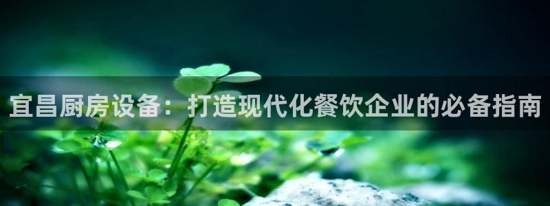 尊龙凯时法拉币：宜昌厨房设备：打造现代化餐饮企业的必备指南