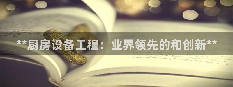 尊龙凯时人生就是博·(中国)官网官：**厨房设备工程：业界领