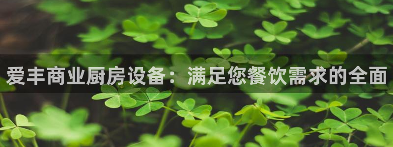 尊龙凯时是正规平台吗：爱丰商业厨房设备：满足您餐饮需求的全面