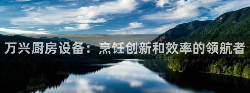 尊龙手机客户端下载：万兴厨房设备：烹饪创新和效率的领航者