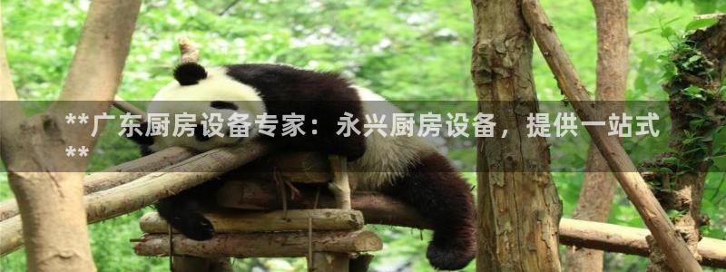 尊龙2020：**广东厨房设备专家：永兴厨房设备，提供一站式