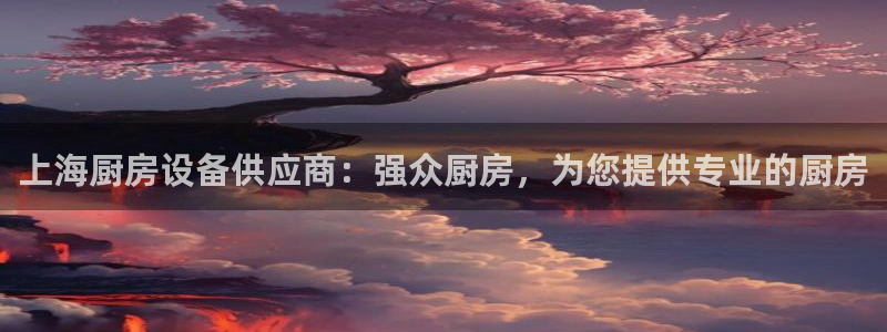 kb88凯时唯一官网注册：上海厨房设备供应商：强众厨房，为您
