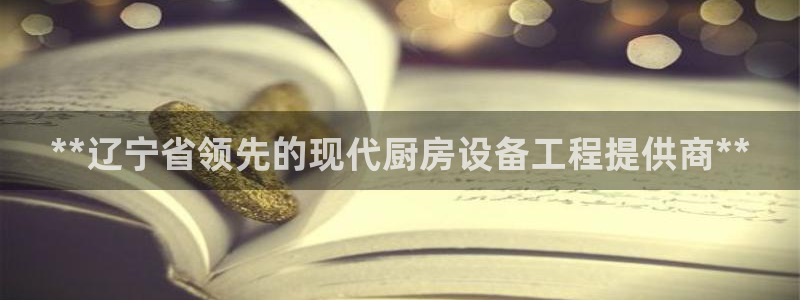 凯时游戏app：**辽宁省领先的现代厨房设备工程提供商**