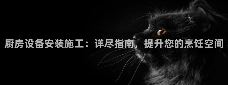 凯时ag旗舰厅网址是什么：厨房设备安装施工：详尽指南，提升您