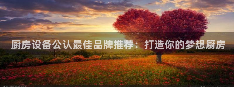 尊龙凯时的企业文化