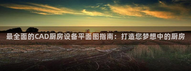 尊龙-人生就是博!：最全面的CAD厨房设备平面图指南：打造您