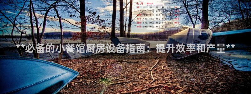 尊龙凯时下载链接：**必备的小餐馆厨房设备指南：提升效率和产