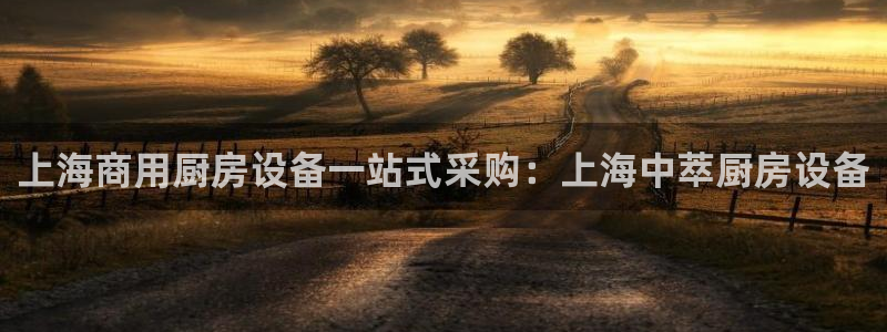 z6尊龙凯时ag旗舰厅：上海商用厨房设备一站式采购：上海中萃