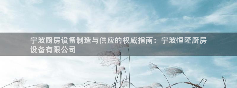 尊龙官网网站：宁波厨房设备制造与供应的权威指南：宁波恒隆厨房