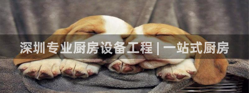 尊龙,人生就是博!登录国