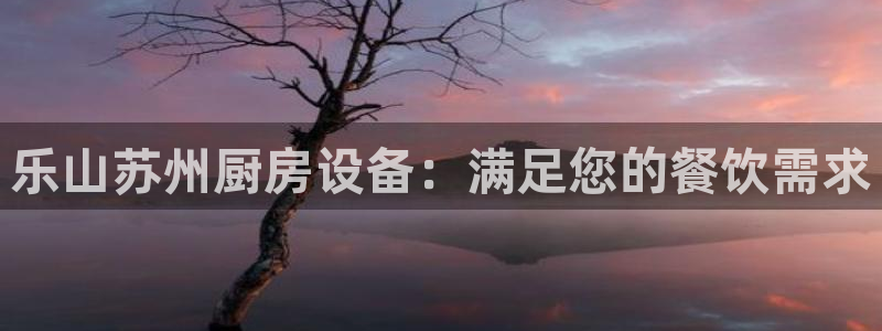 agz6尊龙凯时集团：乐山苏州厨房设备：满足您的餐饮需求
