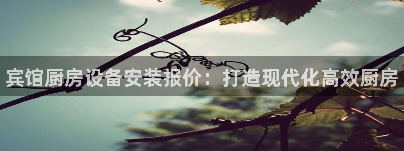 尊龙凯时下载官方正版：宾馆厨房设备安装报价：打造现代化高效厨