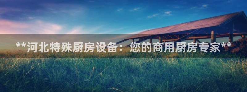 尊龙凯时-人生就是博中国官网最新：**河北特殊厨房设备：您的
