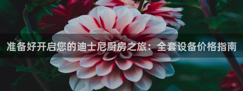 尊龙人生就是博AG：准备好开启您的迪士尼厨房之旅：全套设备价
